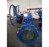 High Performance Butterfly Valve After Maintenance